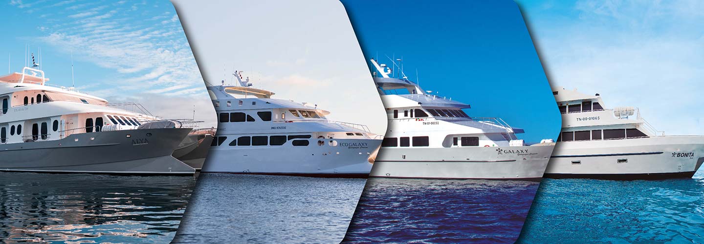 Presentation cruise to galapagos